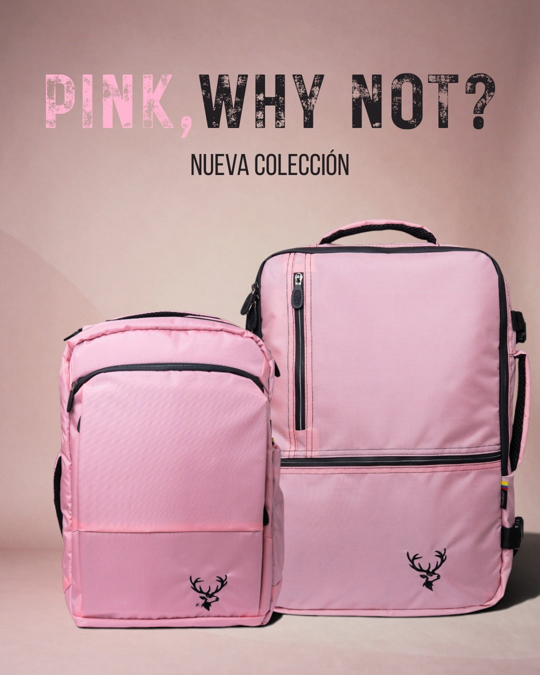 Nueva Colección